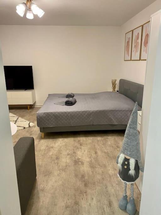Stilvolle Ferienwohnung Mit Stellplatz Wlan Free Netflix Naehe Bahnhof Τσβικάου Εξωτερικό φωτογραφία
